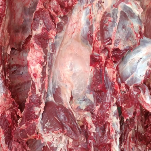 商河县牛肉