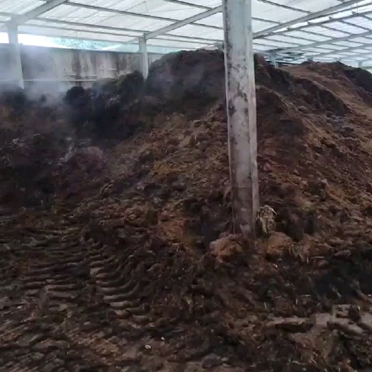 英德市纯牛粪