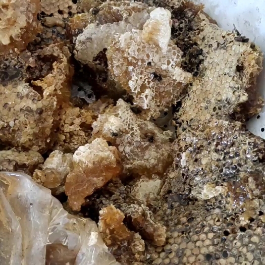 广南县云南省文山