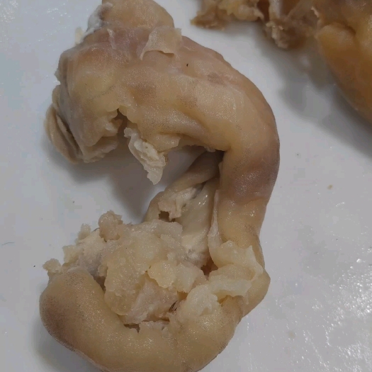 大厂县牛蹄筋白水煮，十成熟，无水发无碱，源头厂家