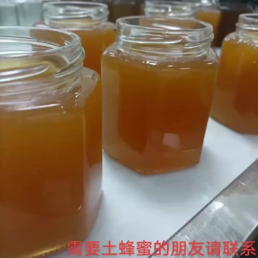 紫云县土蜂蜜  贵州深山自家养的土蜜蜂割蜂蜜咯