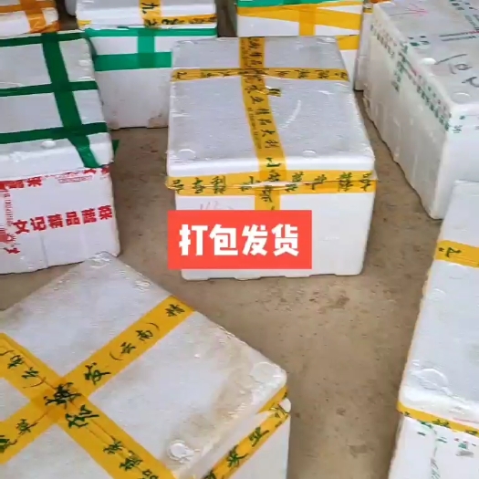 来宾准备清完过年