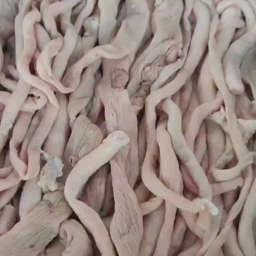 鲜熟羊肠半成品（四成熟）质量杠杠滴，源头厂家