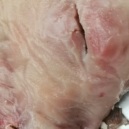 阳信县全熟牛头肉