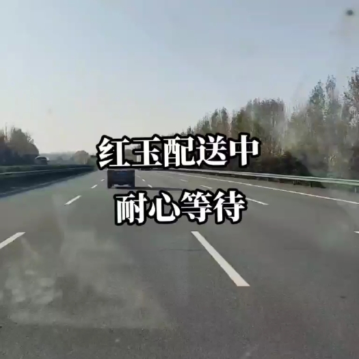 兴平市兴平鸡苗孵化场