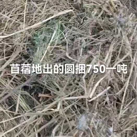 肇东市天然羊草大方包