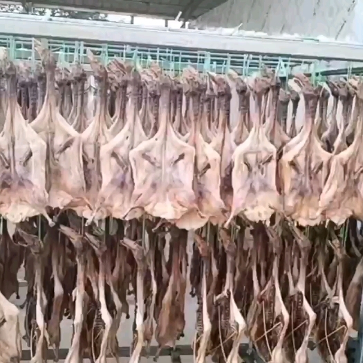 沙洋县土特产风干鸡鸭等