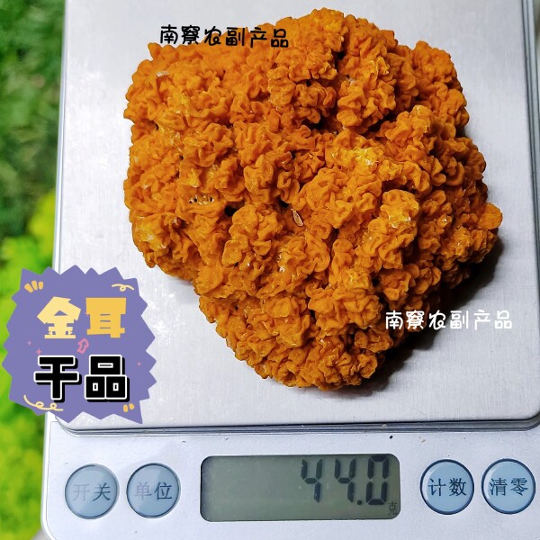 金耳干品100g黄金耳,可泡发七八9倍精品金耳菌足干黄耳