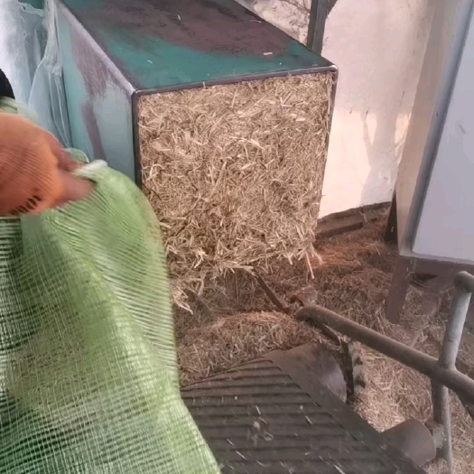 唐山小包稻草大量现货供应