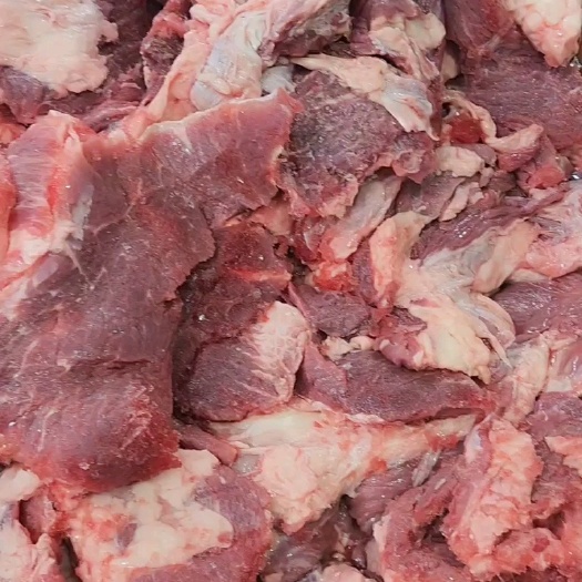 大厂县牛肉筋，筋头巴脑，真空包装，五斤一袋，每天鲜货，源头厂家