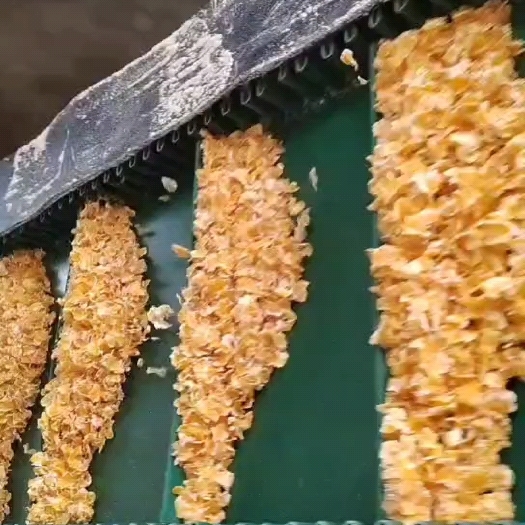 曹县玉米压片采用优质玉米进行加工。70斤标准包！