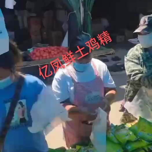 乐陵市亿凤鲜土鸡精200克 电商 团购引流 地摊 会销 活动送围裙