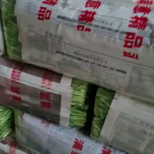 沈阳优质韭菜批发，量大价优，物美价廉，保质保量