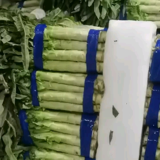 宿州莴笋