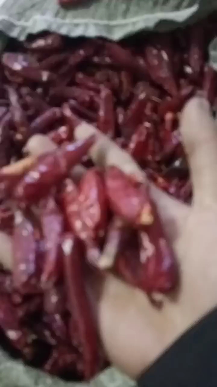 精品三樱椒