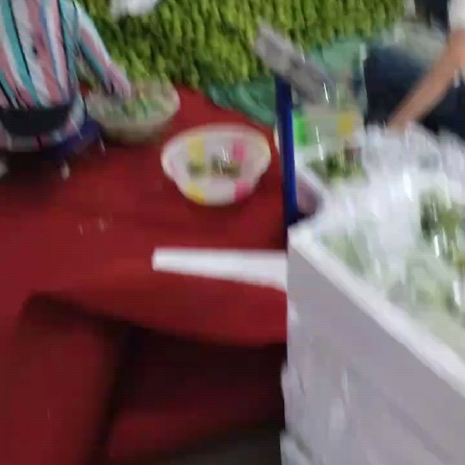 元谋县青枣