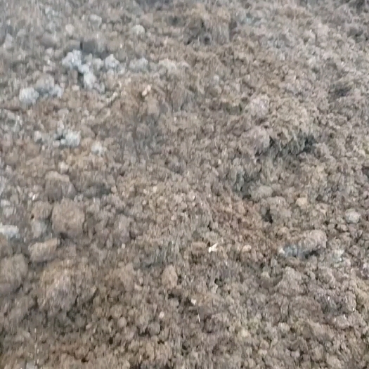 英德市纯牛粪，有机肥