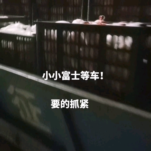 绥中县小小富士口感脆甜   价位不高