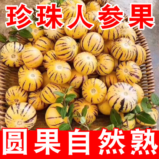 绿春县云南红河人参果水果批发价新鲜应季现摘香甜圆果黄肉黄心树上熟