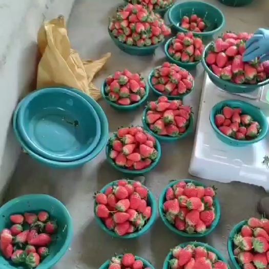 甜宝草莓