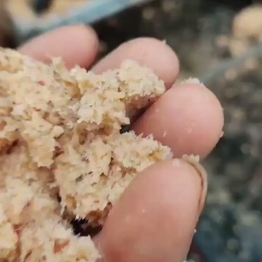 鹿邑县新鲜红薯渣大量出售