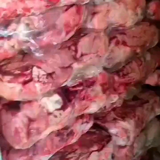 呼和浩特扒皮羊心肺 羊心肺