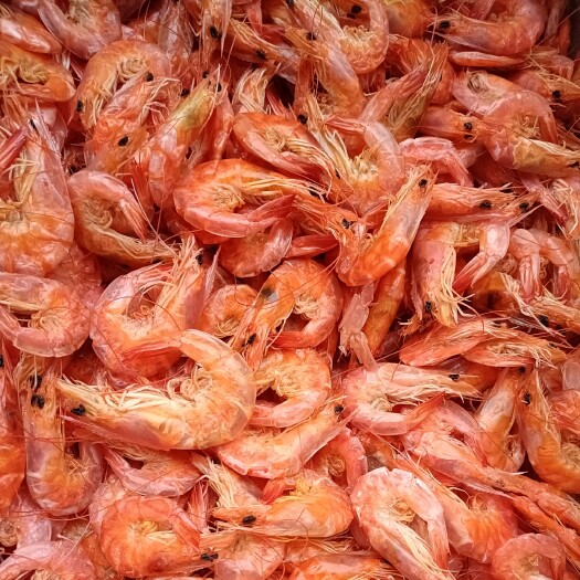 滨州中号烤虾海水虾干颜色好，干度好，批发有量！！！