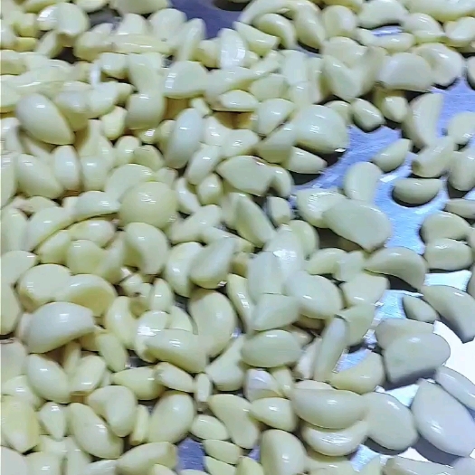 金乡县保绿蒜米腊八蒜2023新鲜蒜米去皮大蒜粒商用腊八蒜米
