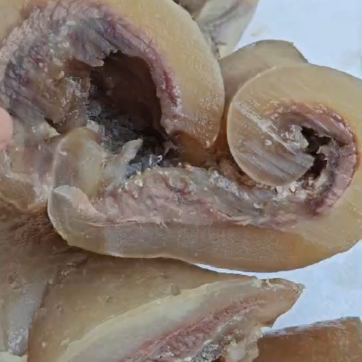 汕头水退带肉牛头皮