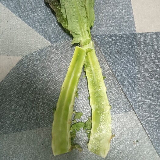 宿州莴笋