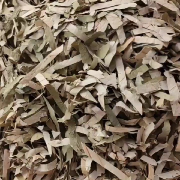 中草药干货荷叶茶荷叶别名莲花茎莲茎量大从优