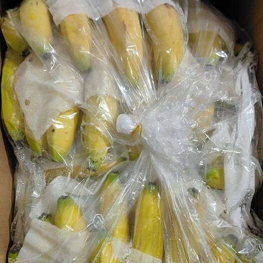 义乌市小箱一级二黄焦42元一箱大量现货发货，零损耗