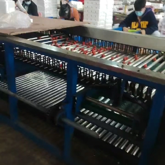 陵水县圣女果