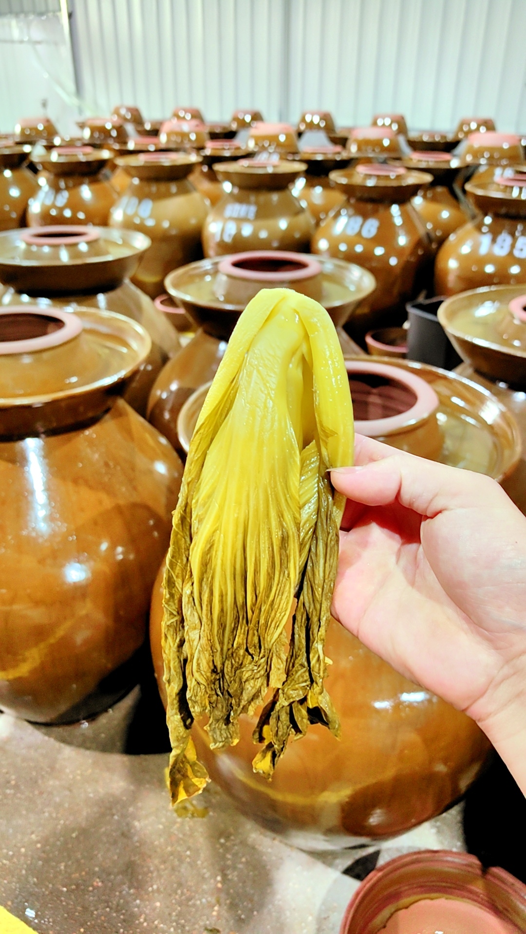 壇香酸菜廠家直銷