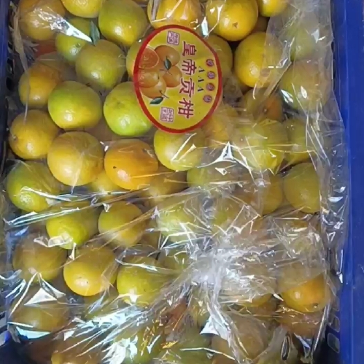毕节广东德庆贡柑，皮薄汁多，甜，超甜。
