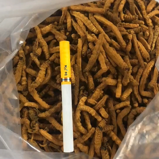 成都亚香棒肉节