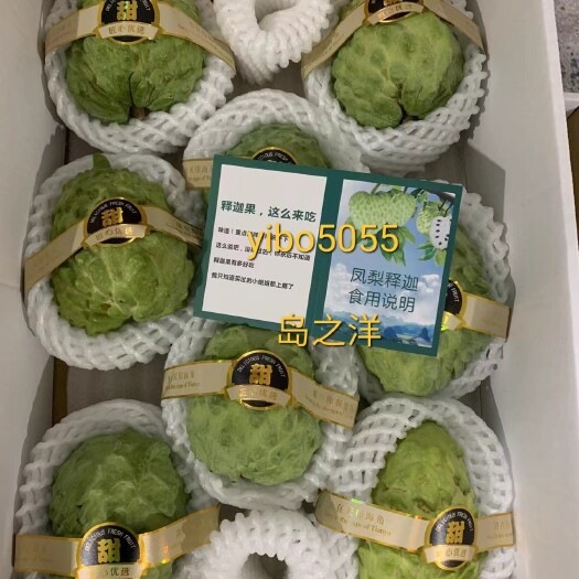海口释迦果基地招商