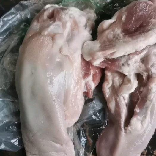 成都口条28-30根