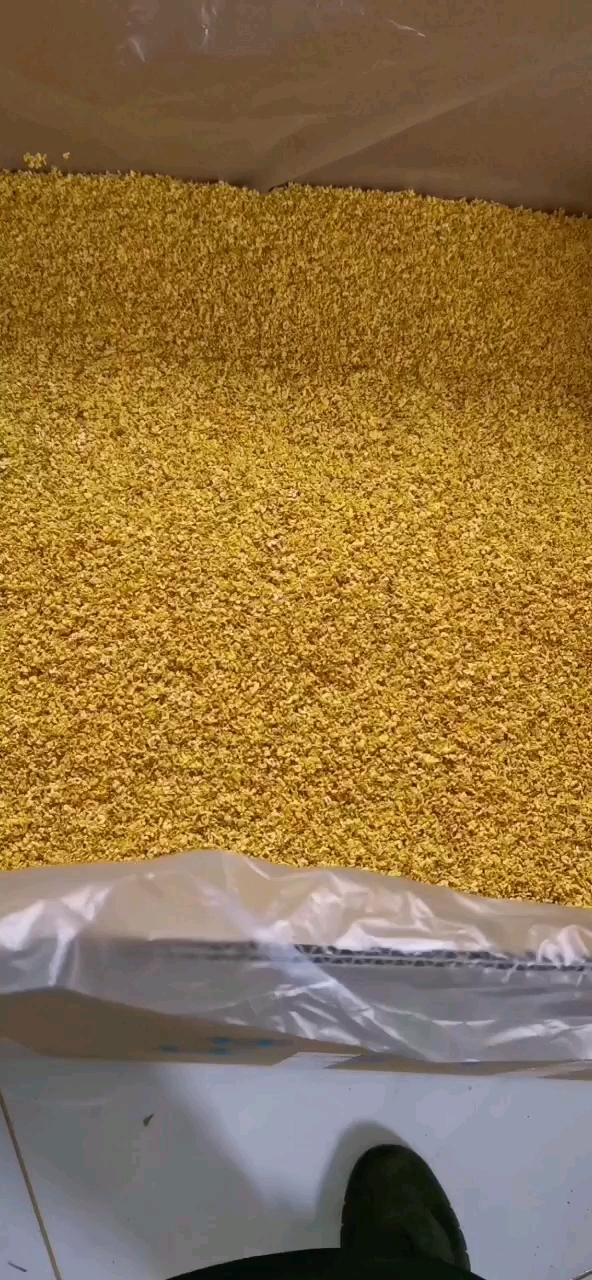 源头厂家桂林无硫桂花干 桂花瓣 干桂花 桂花茶色选人工精选