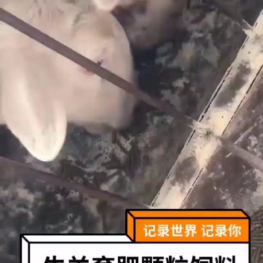 呼伦贝尔草颗粒，各种颗粒料