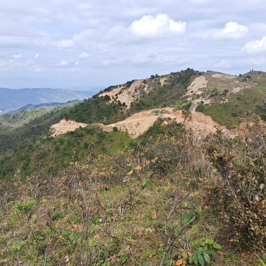 一千米海拔荒山