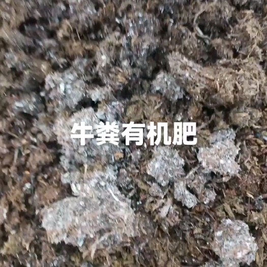 英德市纯牛粪有机肥