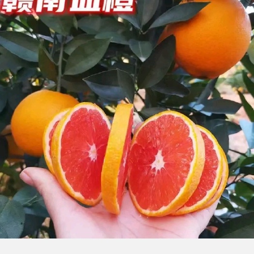 安远县江西赣州安远车头水果批发