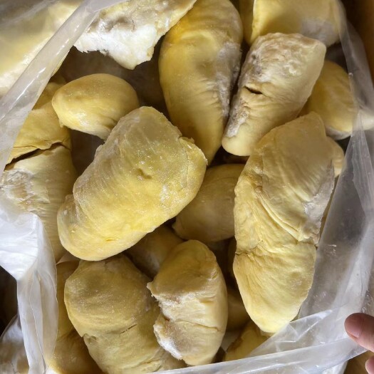 聊城液氮冷冻榴莲肉，可供原料，可供包装成品
