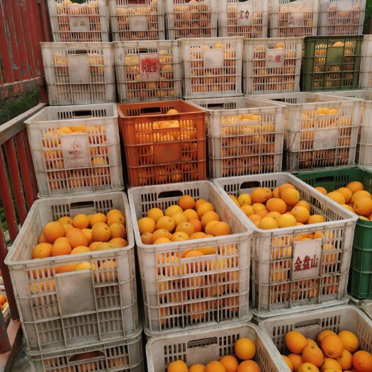 宜昌纽荷尔零售