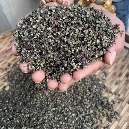 勐腊县老挝花椒