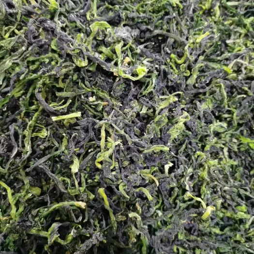 北京脱水蔬菜 优质万年青 品质保证 工厂直达