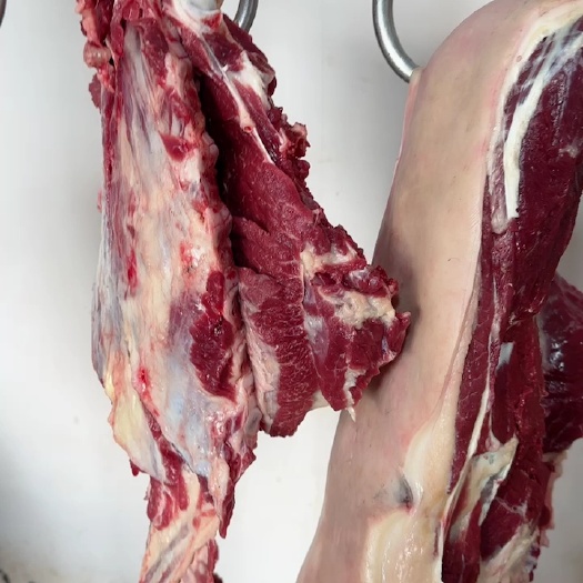 灵璧县新鲜驴肉 真驴肉现杀带皮驴肉   包饺子 红烧   清炖
