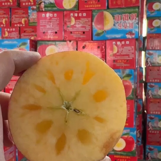 新疆阿克苏冰糖心苹果 甜脆可口 每一颗都有糖心果农直供