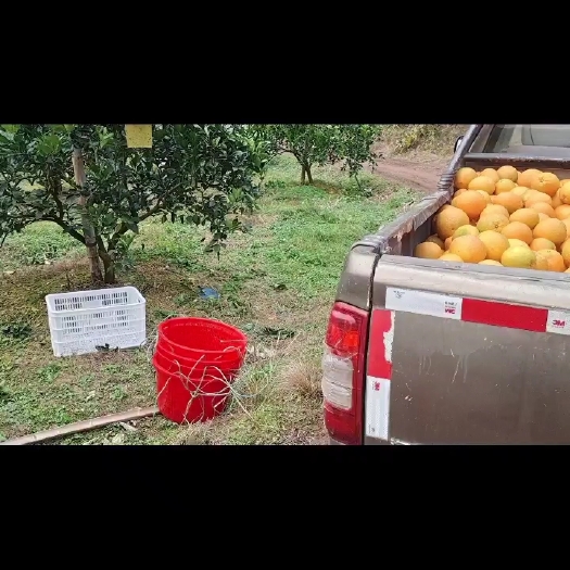 石城县纽荷尔